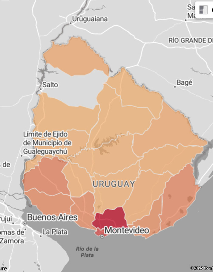 Visualizador de incendios forestales