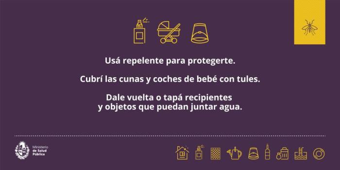 MSP_Sinae_Dengue MSP_Sinae_Dengue