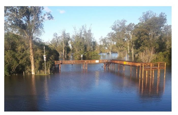 puente inundado en durazno