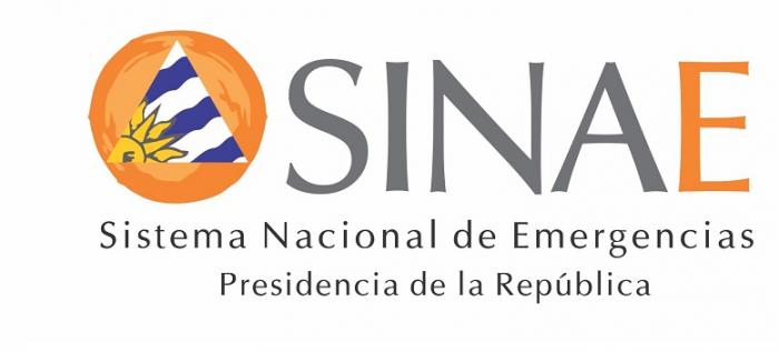 Logo SINAE