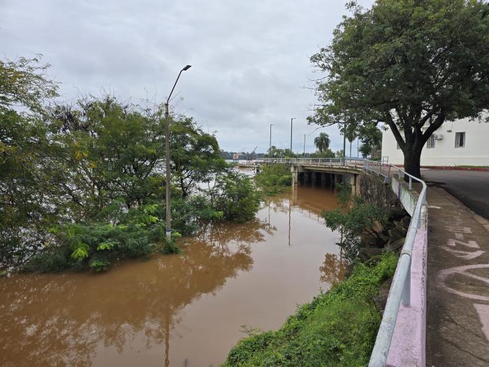 Imagen: Gentileza de la Intendencia de Salto