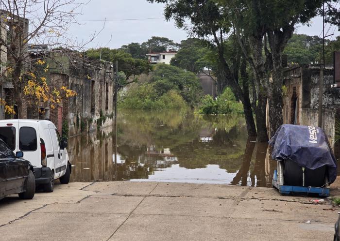 Imagen: Gentileza de la Intendencia de Salto