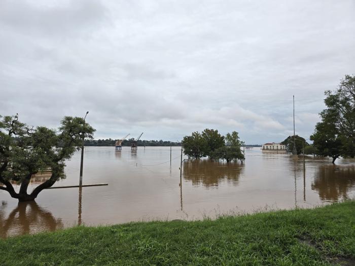 Imagen: Gentileza de la Intendencia de Salto