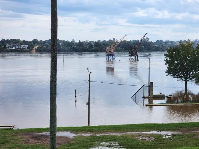 Imagen: Gentileza de la Intendencia de Salto