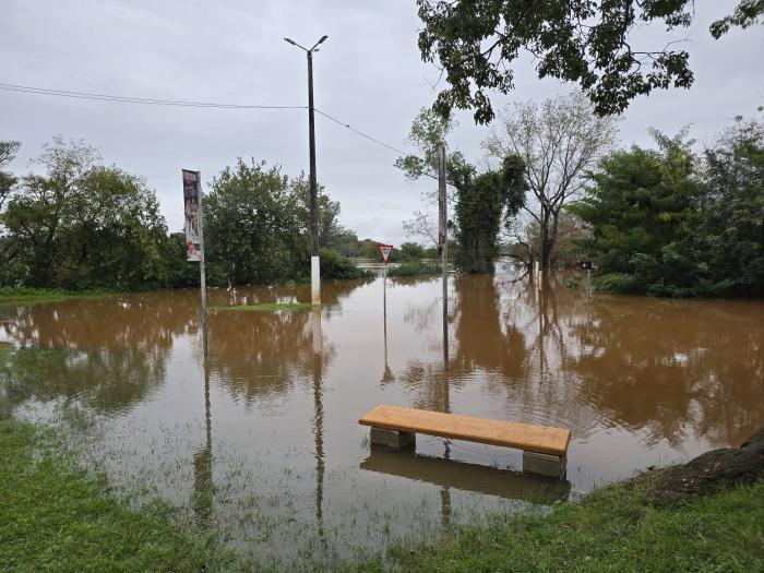 Imagen: Gentileza de la Intendencia de Salto