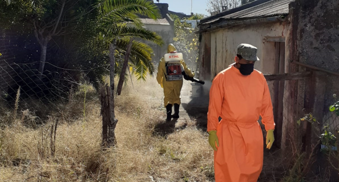 Personal debidamente identificado realizando fumigaciones en San José Personal debidamente identificado realizando fumigaciones en San José