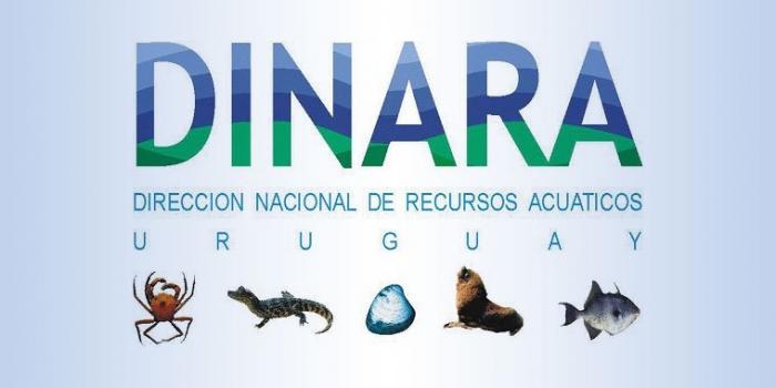 Logo DINARA