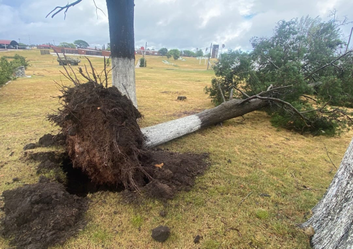 Ciclón Extratropical