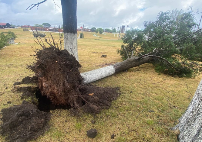 Ciclón Extratropical