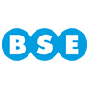 Logo del BSE