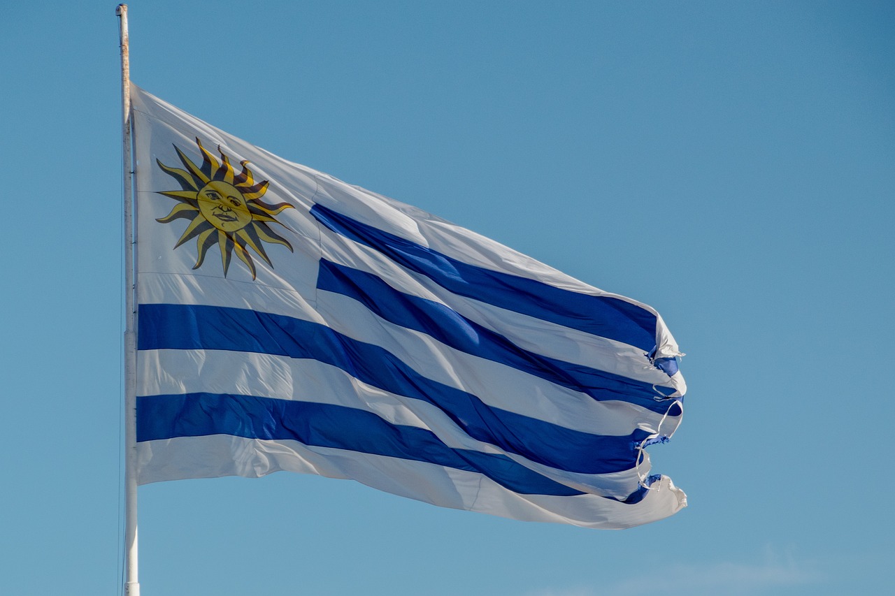 Bandera uruguaya