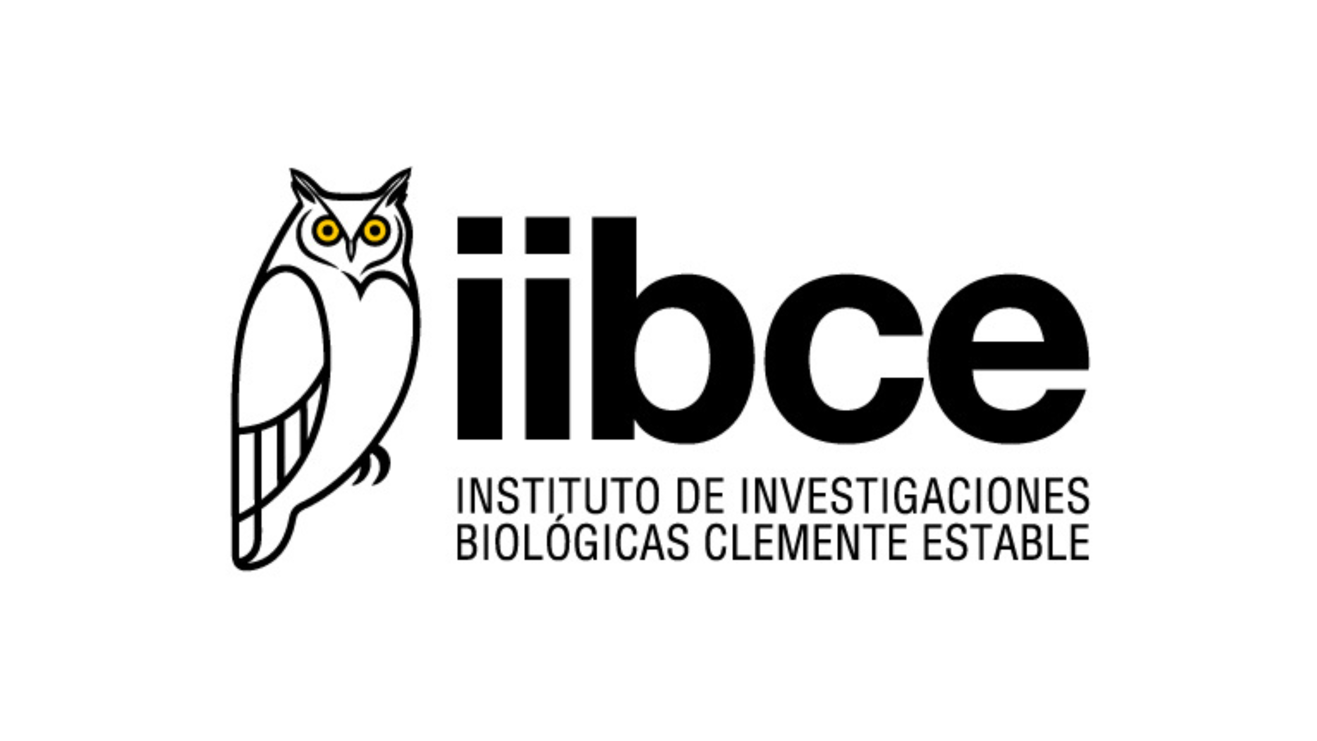 IIBCE