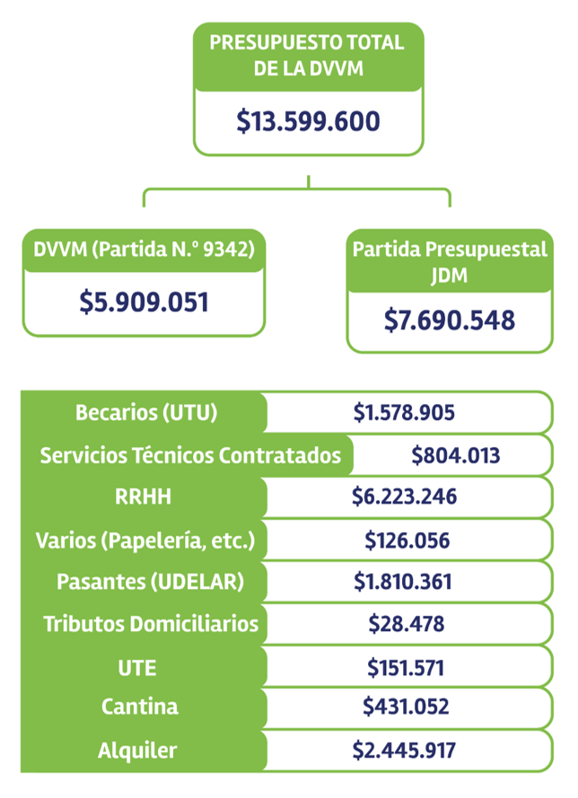 Ejecución del presupuesto por categoría de gastos