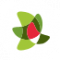 Logo de Plan Ceibal