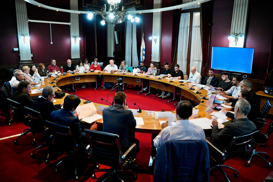 Personas reunidas en la Sala Maggiolo de la Udelar.