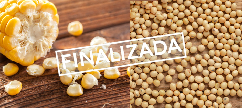 Maíz y Soja Finalizada