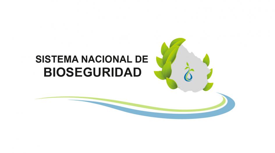 Logo SNB Logo SNB