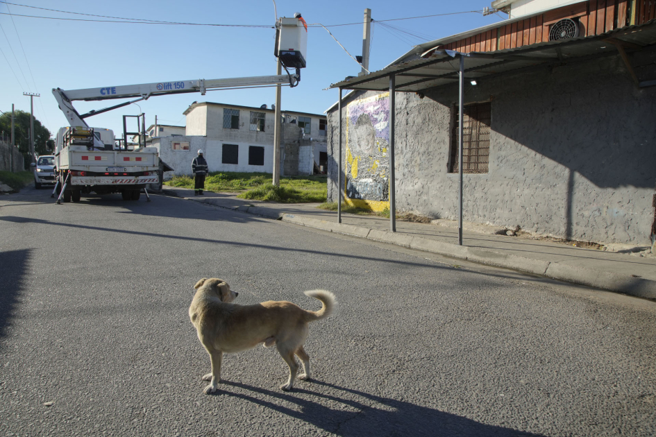 Funcionario trabaja en el alumbrado público durante una intervención de Más Barrio en Cerro Norte