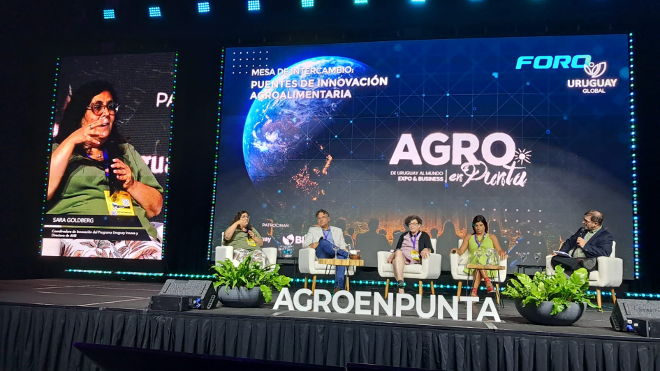 Foto de la integración del panel. Habla Sara Goldberg