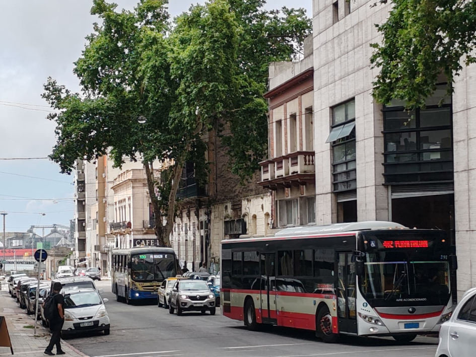 Fotografía de algunas líneas de ómnibus de Montevideo