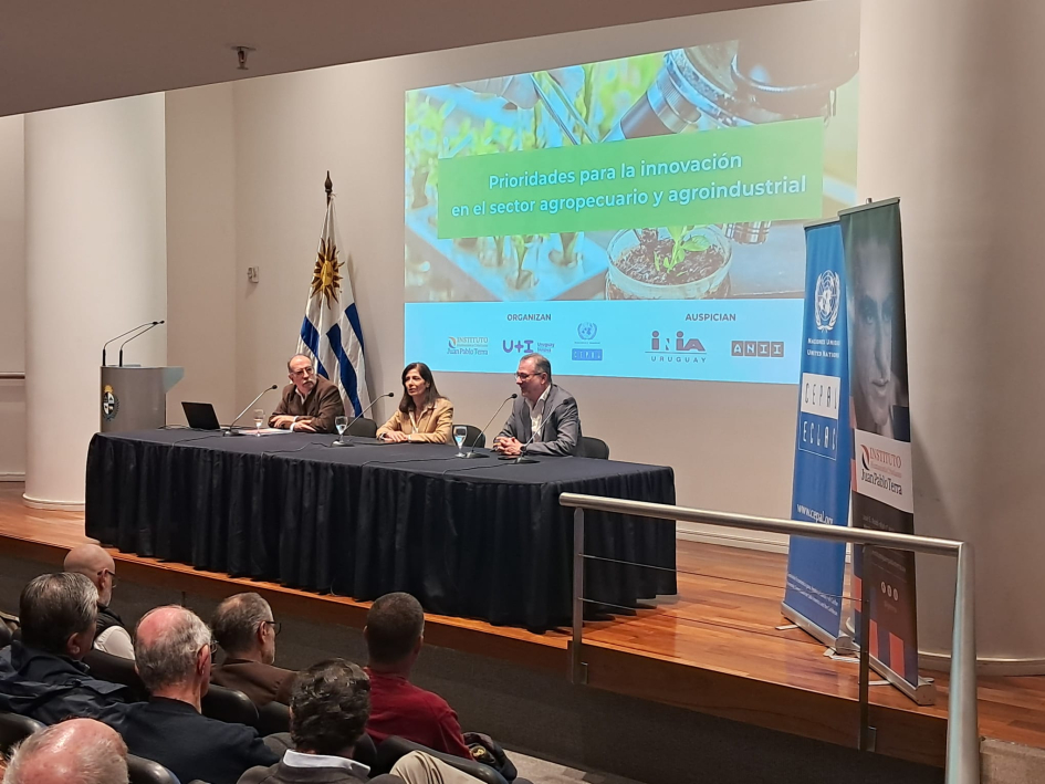  Pablo Martínez, Raquel Artecona y Bruno Gili