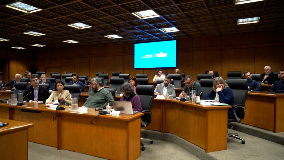 Interior informó en Parlamento 