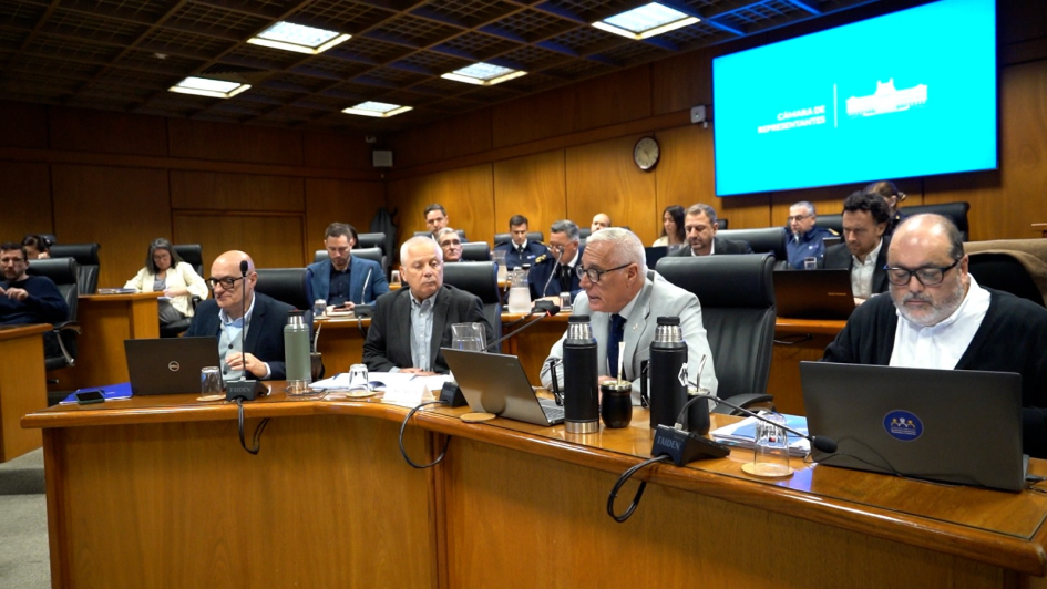 Interior informó en Parlamento 