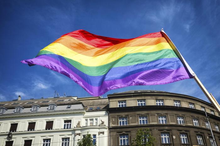 bandera de la diversidad