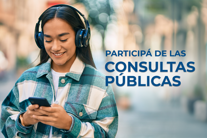 consulta pública