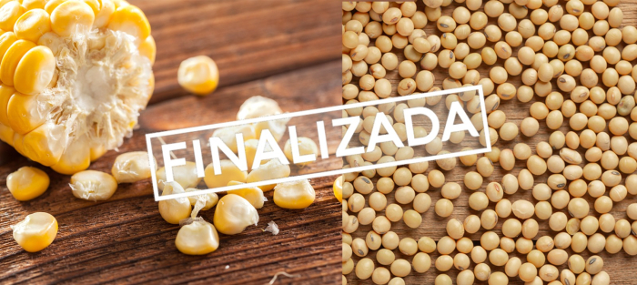 Maíz y Soja Finalizada
