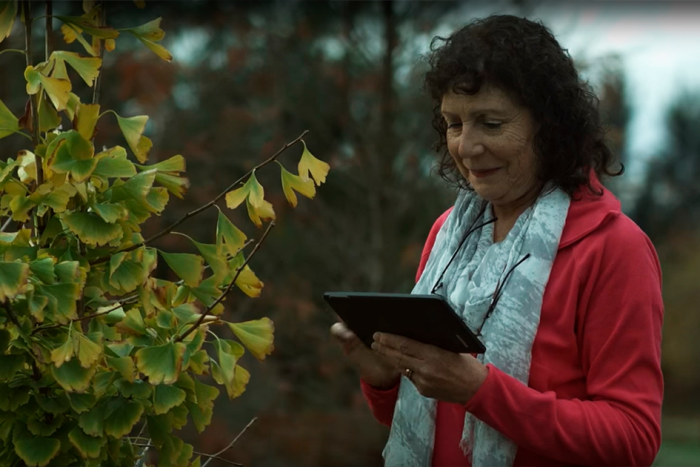 Mujer mirando una tablet 