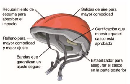 Casco de ciclistas con referencia de sus diferentes componentes.