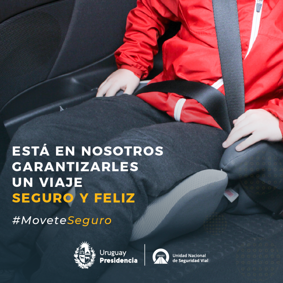 Seguridad Vial Infantil 2023 Seguridad Vial Infantil 2023