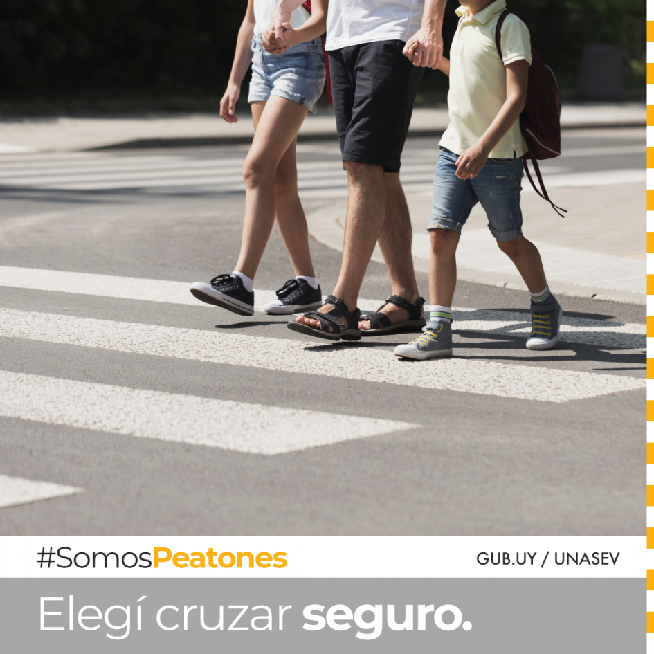 Peatones en cebra Niños cruzando la calle sobre cebra, frente de auto apenas en el cuadro cediendo el paso.