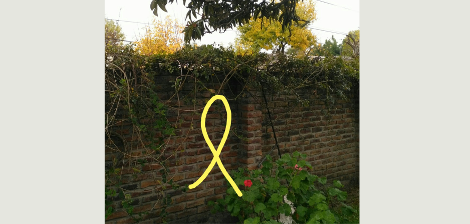 Imagen de jardín donde luce un lazo amarillo