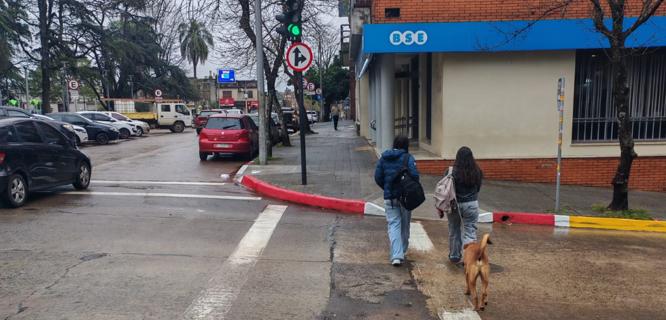 Transeúntes utilizando correctamente cruce peatonal en Rivera