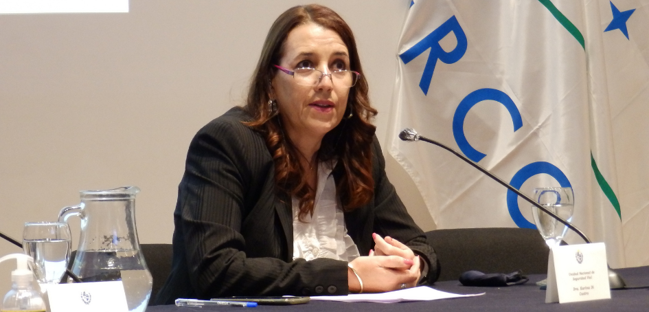 Dra. Karina Di Castro Dra. Karina Di Castro
