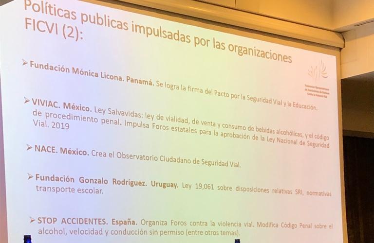 Exposición sobre Políticas públicas de ONG en Asamblea OISEVI