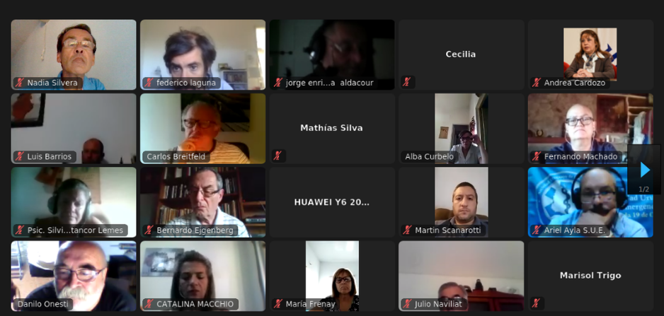 Captura de pantalla de reunión virtual de Movimiento Mayo Amarillo 2021