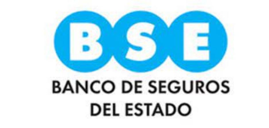 Imagen del logo del Banco de Seguros del Estado