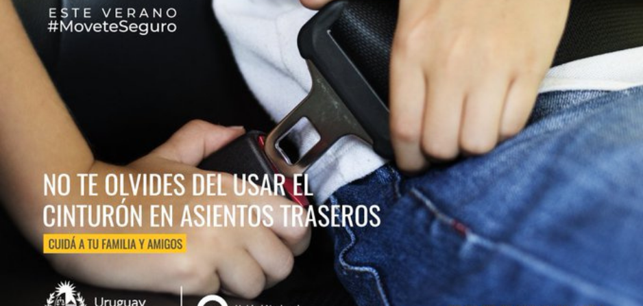 Imagen de persona en asiento trasero colocándose el cinturón de seguridad