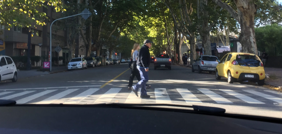 Vista desde el interior de un vehículo que se detiene frente al uso de cebra por parte de peatones