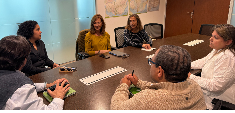 Reunión Comisión Directiva - Unasev