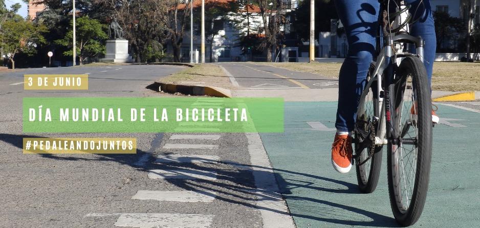 Ciclista haciendo uso del cicloviario Ciclista haciendo uso del cicloviario