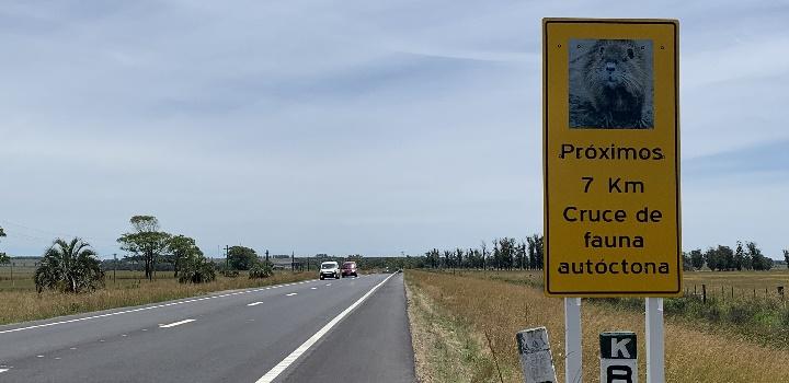 Cartelería sobre protección de fauna en Rocha Cartelería sobre protección de fauna en Rocha