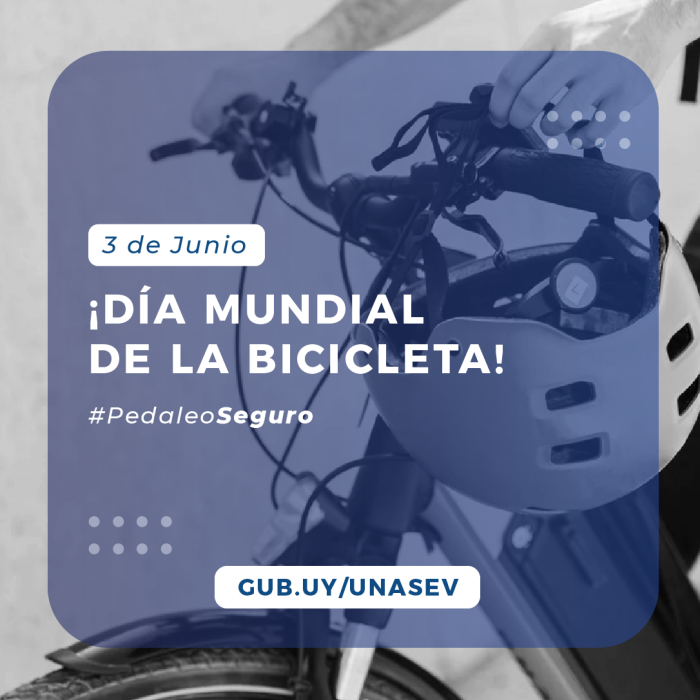 Día internacional de la Bicicleta Día internacional de la Bicicleta