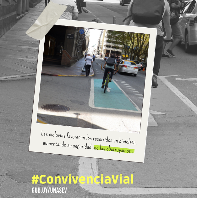 Ciclista transitando por una ciclovía de Montevideano Ciclista transitando por una ciclovía de Montevideano