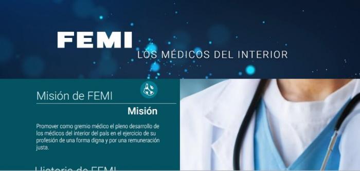 Imagen parcial de sitio web de FEMI Imagen parcial de sitio web de FEMI