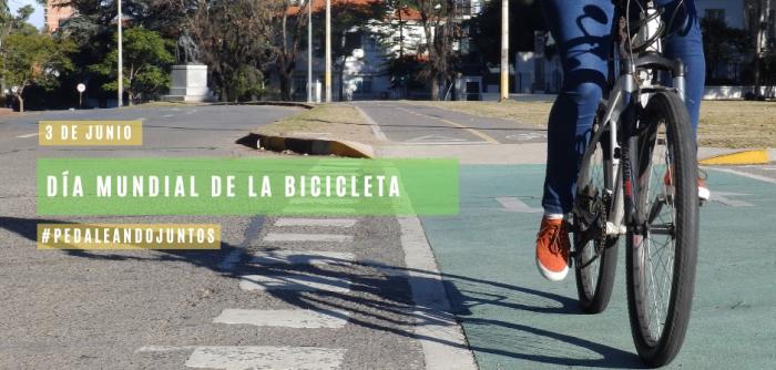 Ciclista haciendo uso del cicloviario Ciclista haciendo uso del cicloviario