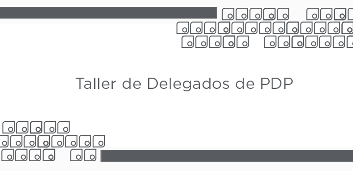 Taller delegados PDP